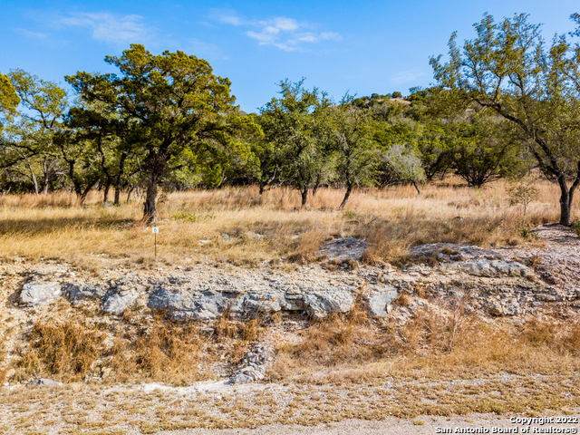 28771 Verde Mountain Trail - Photo 1