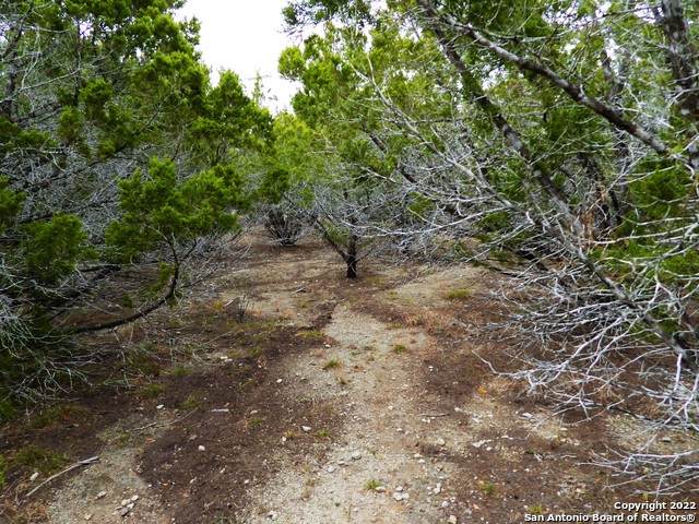 LOT 73 Scenic Crest - Photo 1