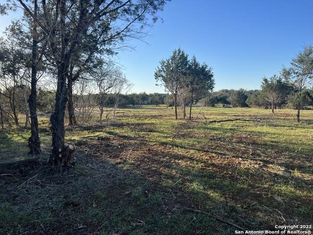 883 Oak Bluff Trail - Photo 1