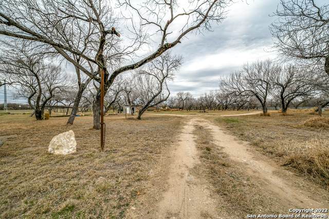 13514 Us Highway 181 - Photo 1