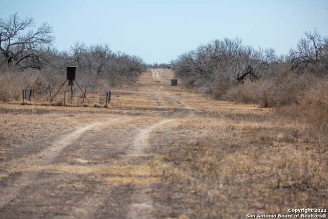 3338 Highway 37 Access - Photo 1