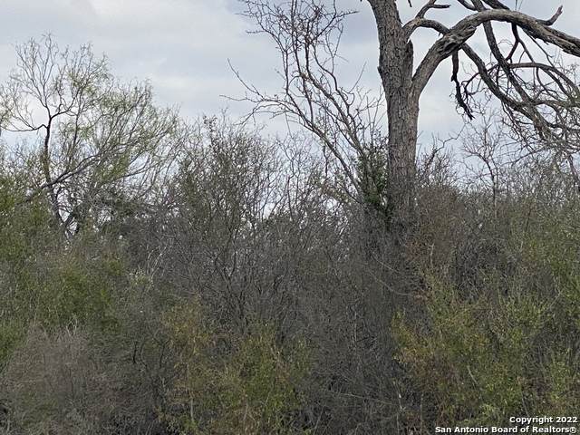 000 Fm 1867 - Photo 1