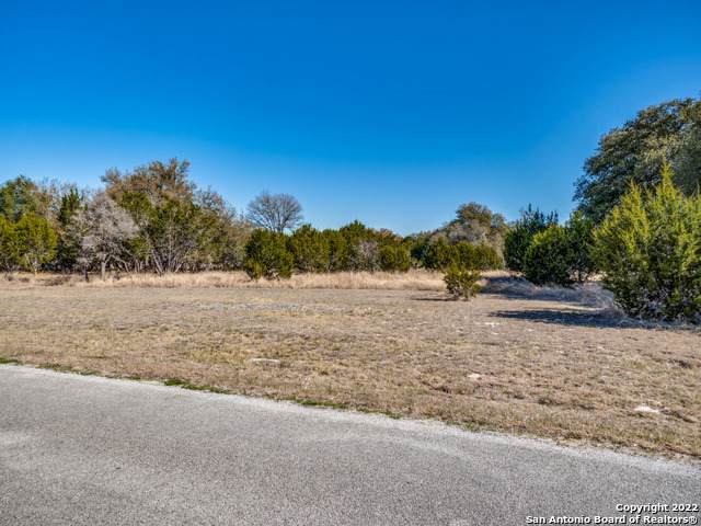 LOT 1 Rio Azule - Photo 1
