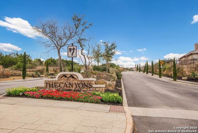 23111 Norfolk Canyon - Photo 1