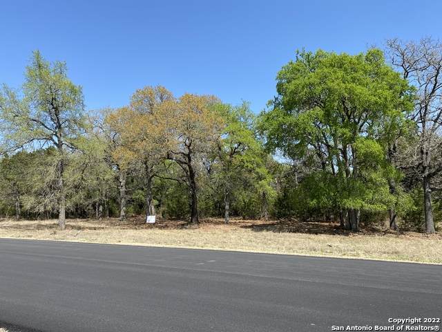 (LOT5)TBD Ammann Road - Photo 1