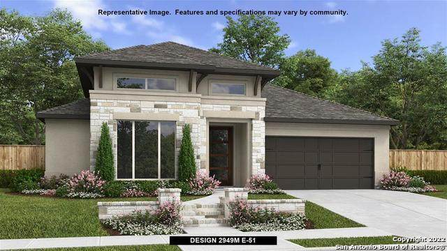 335 Sugarcane - Photo 1