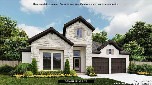 327 Sugarcane - Photo 1