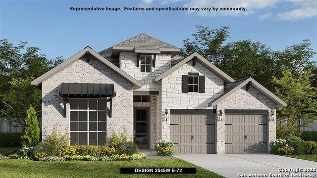 343 Sugarcane - Photo 1