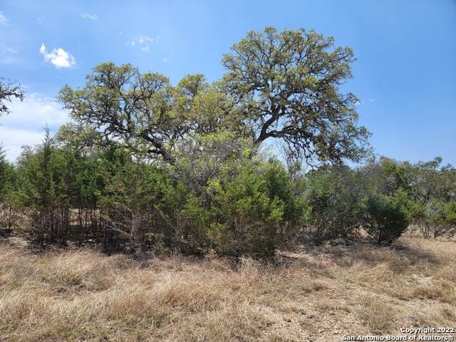 LOT 133 Palomino Spgs - Photo 1