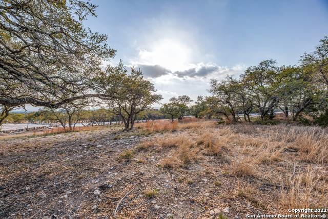 34768 Ansley Ridge Trail - Photo 1