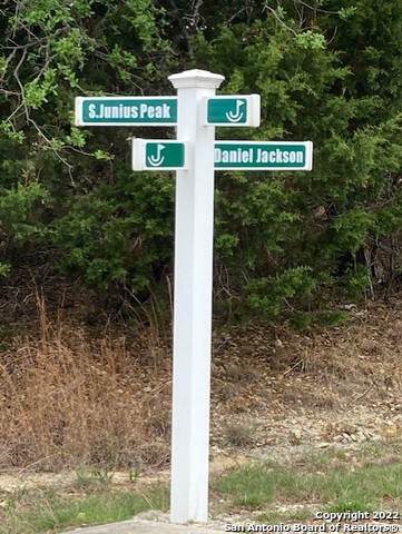 TBD Junius Peak - Photo 1