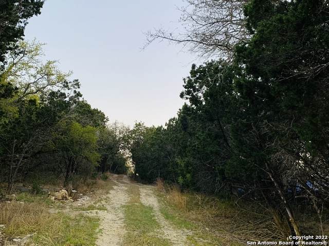 4482 Laurie Michelle Rd - Photo 1
