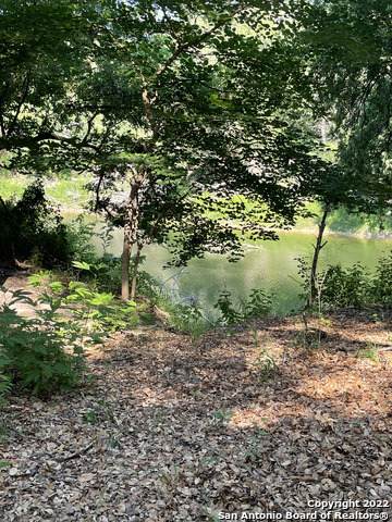 187 Sosa Rd - Photo 1