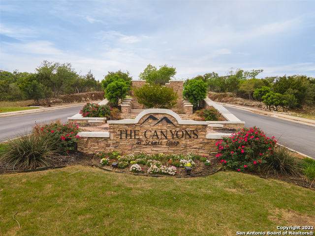 11114 Kendall Canyon - Photo 1