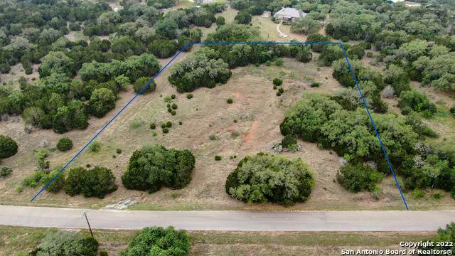 235 Pin Oak Trail - Photo 1