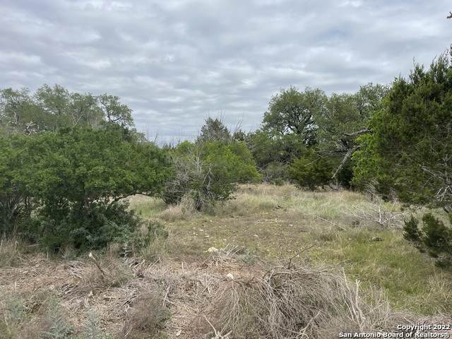 310 Toucan Dr - Photo 1