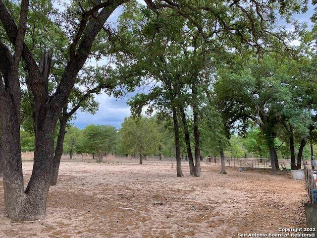 181 Marbach Rd - Photo 1