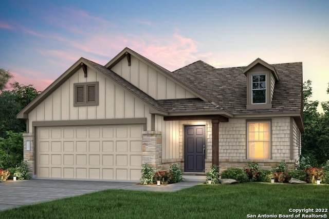 3121 Mountain Mint - Photo 1