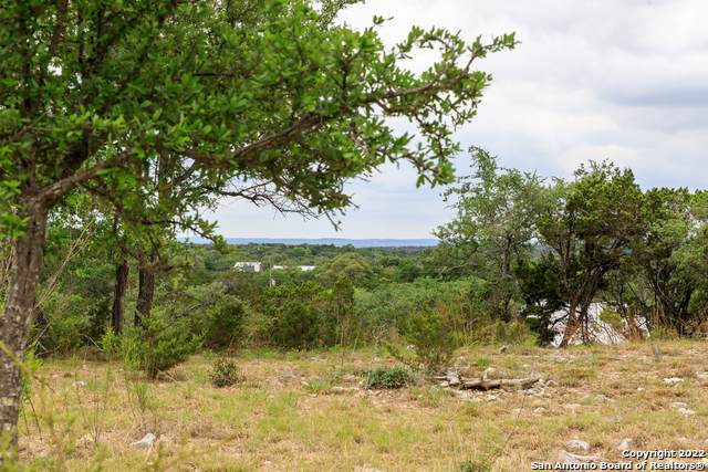 313 Mustang Ln - Photo 1