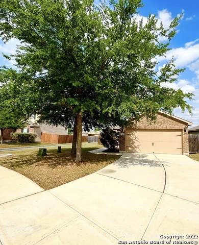 11627 Luckey Vista - Photo 1