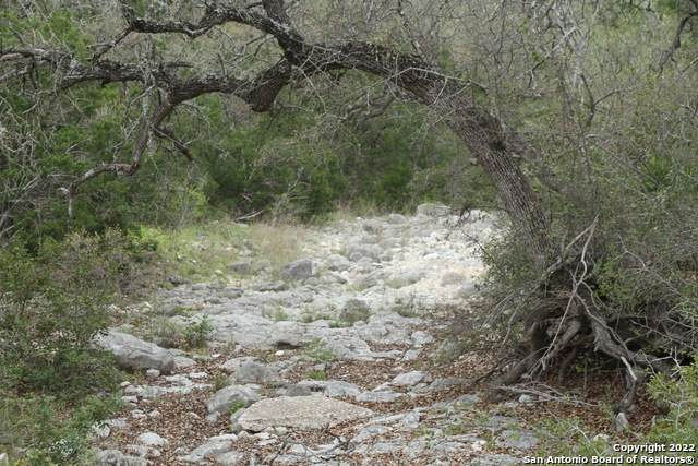 00 Private Road 2110 - Photo 1