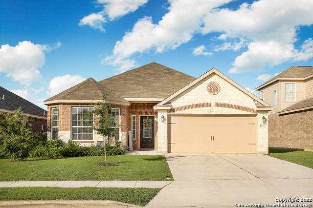 320 Amaryllis - Photo 1