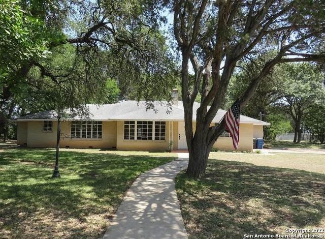 115 Balcones Ave - Photo 1