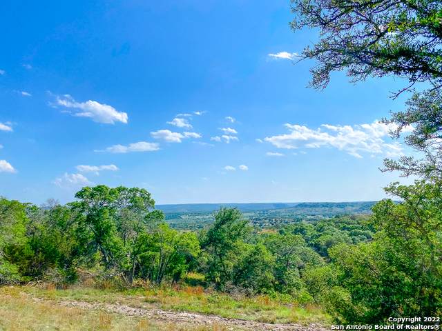 LOT 29 Red Oak Mountain - Photo 1