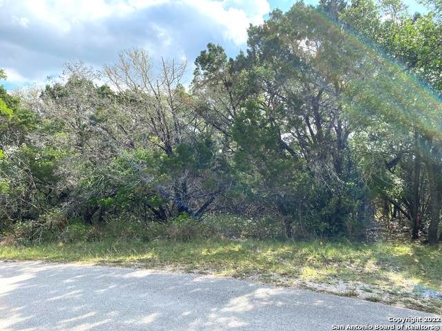 989 Deerwood Dr - Photo 1