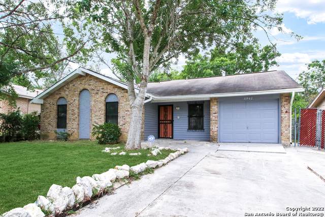 11942 Alamo Blanco St - Photo 1