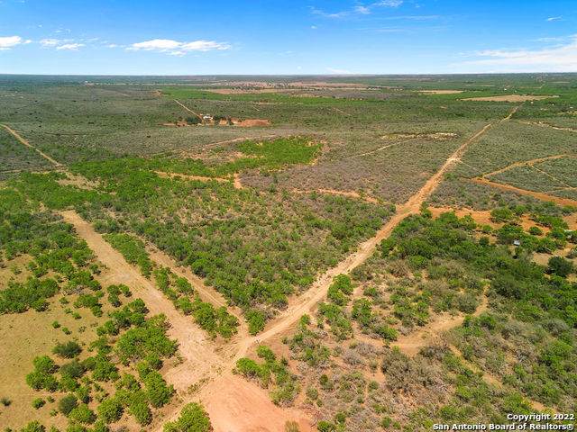 TRACT 6 County Road 661 - Photo 1