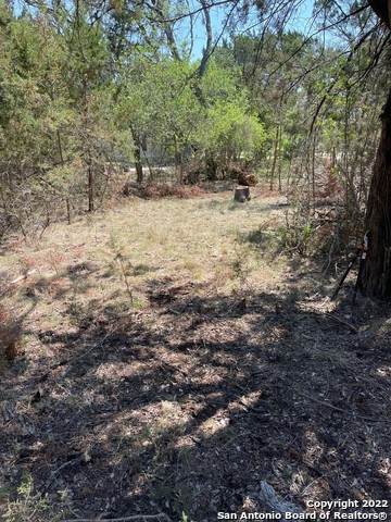 195 Atascosa - Photo 1