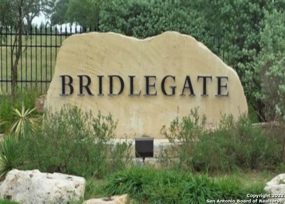 LOT 173 Bridlegate Blvd - Photo 1