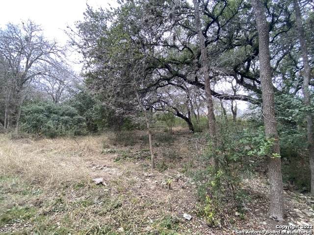 12200 Rustic Ln - Photo 1