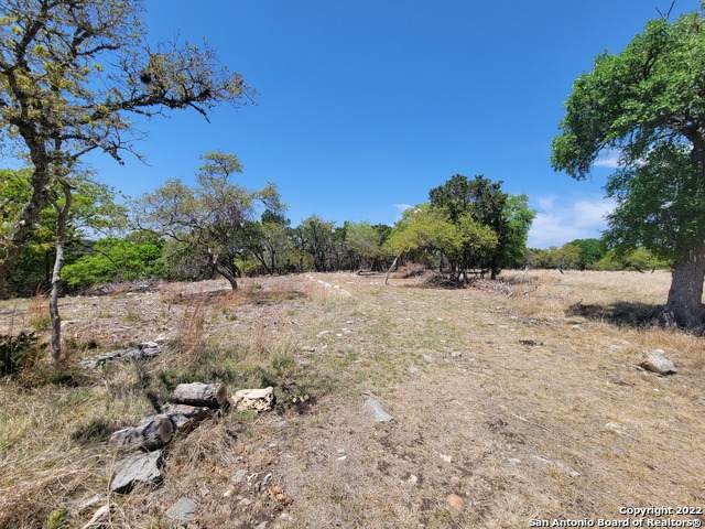 135 Windmill Rd - Photo 1