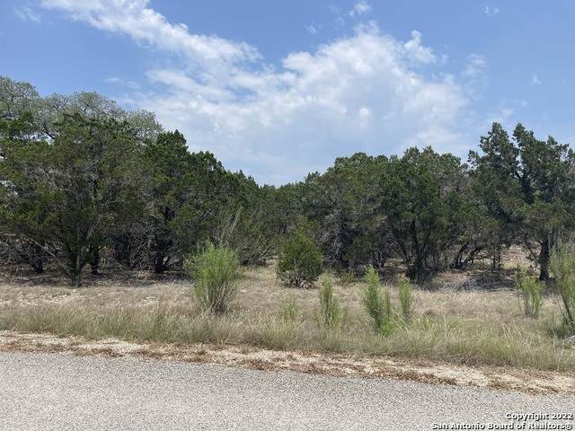 908 Serene Springs - Photo 1