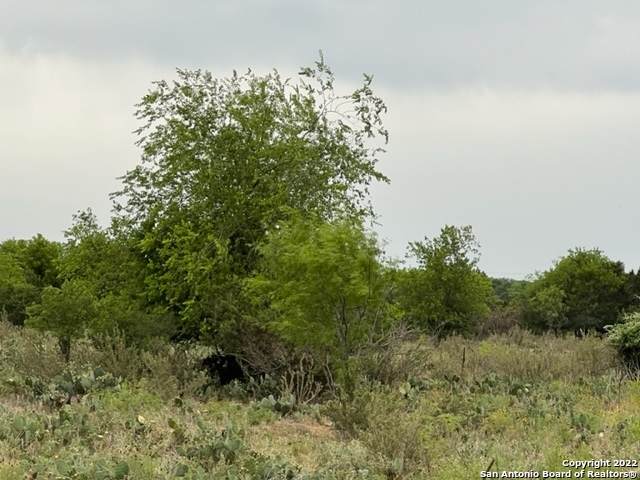 1120 Morning Glen - Photo 1
