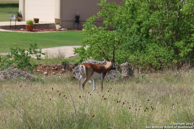 TBD Creekwood - Photo 1
