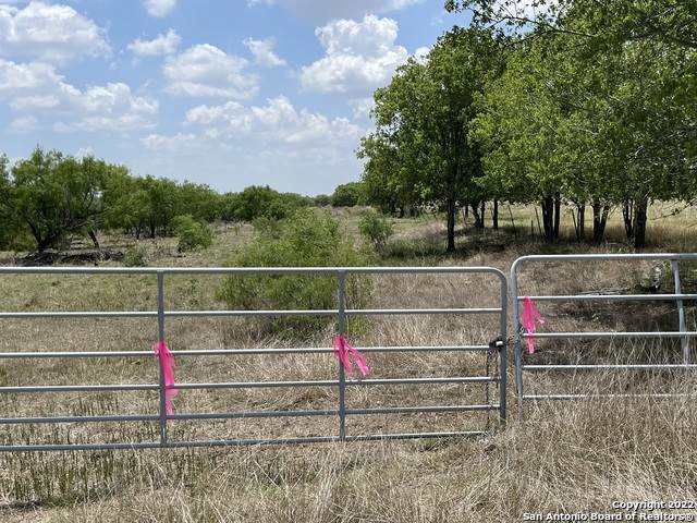 00 County Road 463-Lot B - Photo 1