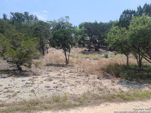 3332 Contour Dr - Photo 1