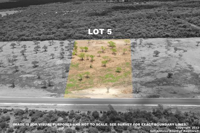 LOT 5 Desert Willow Road - Photo 1