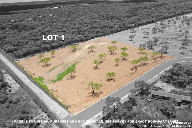 LOT 1 Desert Willow Road - Photo 1
