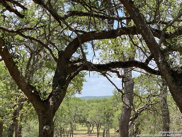 (LOT 1)TBD Ammann Road - Photo 1