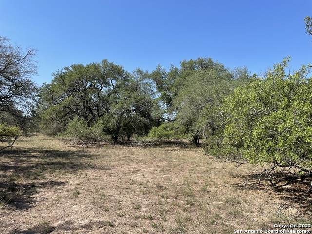 TRACT#1 10.73A County Road 777 - Photo 1