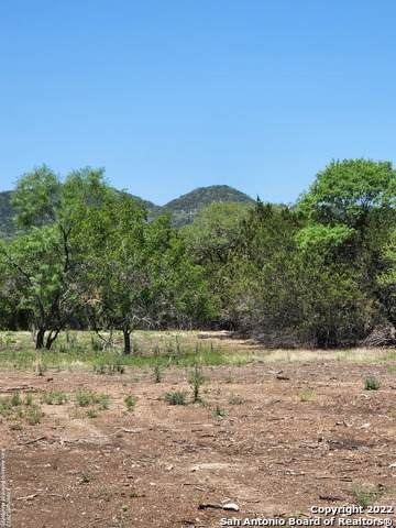 TBD Castle Lake Rd - Photo 1