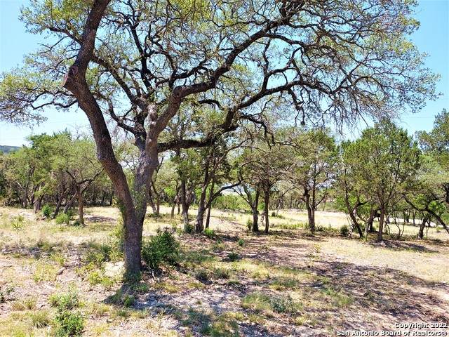 LOT 24 Pr 1707 - Photo 1
