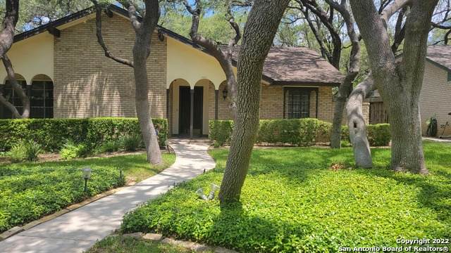 11011 Whispering Wind St - Photo 1