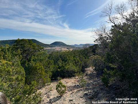 142 Seco Pass - Photo 1