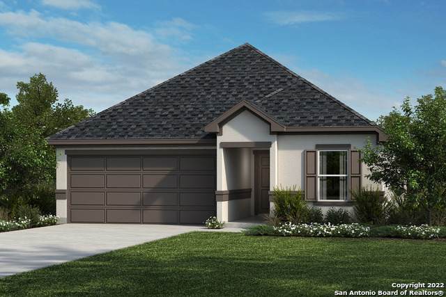 702 Eucharis - Photo 1