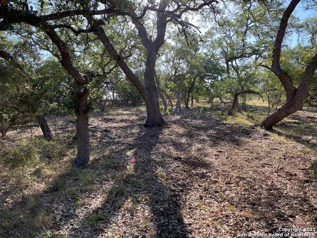 LOT 2029 Iron Hill - Photo 1
